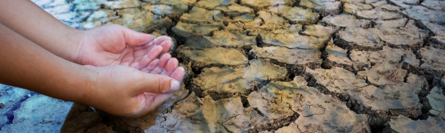 cambio climático y salud