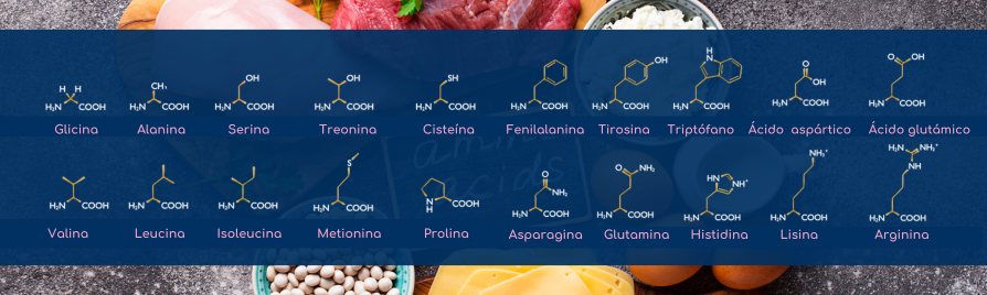 Lista de aminoácidos