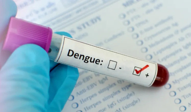 Dengue 