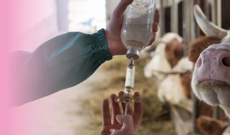 Ganadería, agricultura y resistencia a los antibióticos