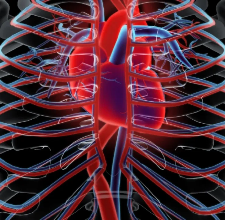 Curso de Formación Permanente en Riesgo Cardiovascular en Niños y Adolescentes a través de Preguntas y Respuestas Razonadas