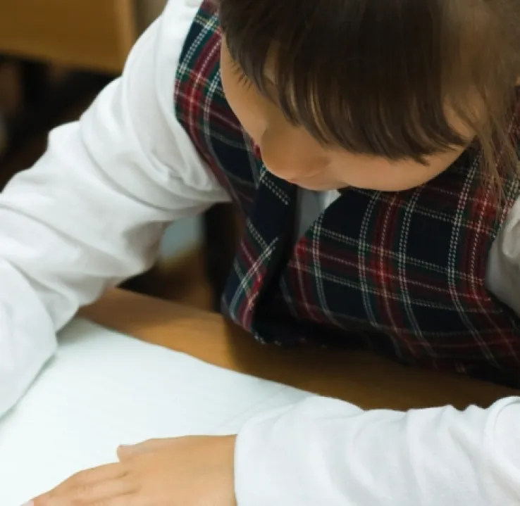 Curso de Formación Permanente en Desarrollo Evolutivo del Niño